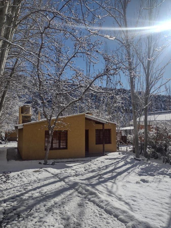 Cabana Pura Vida Potrerillos Eksteriør billede